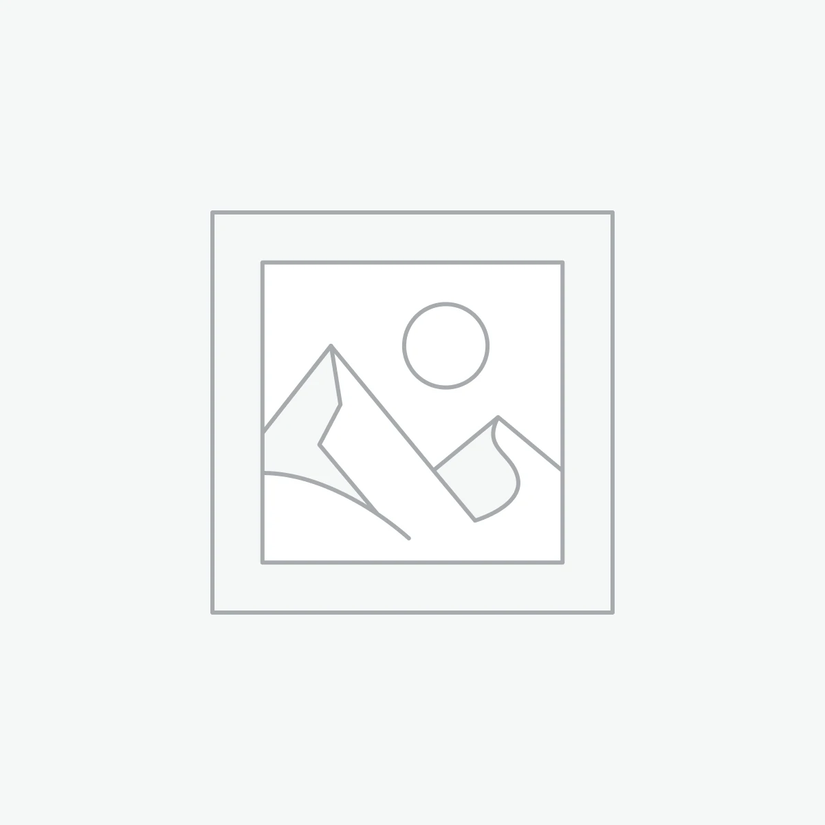 Benswic Snowman T-shirt